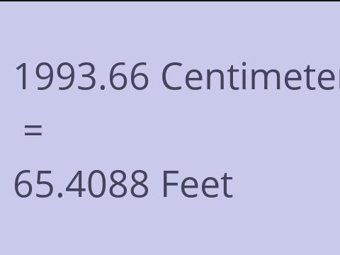 1993.66 CM TO FEET