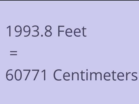 1993.8 FEET TO CM