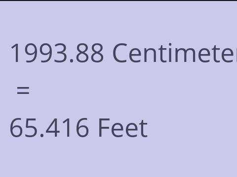 1993.88 CM TO FEET