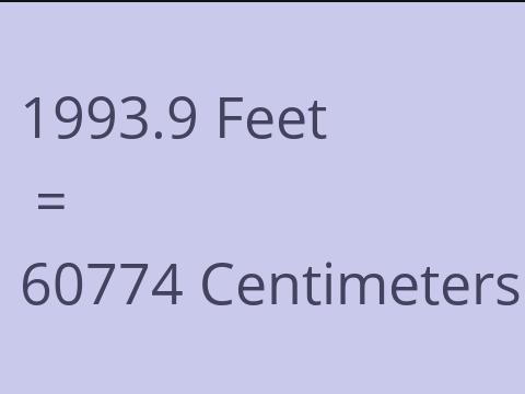 1993.9 FEET TO CM