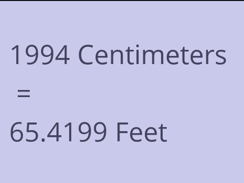 1994 CM TO FEET