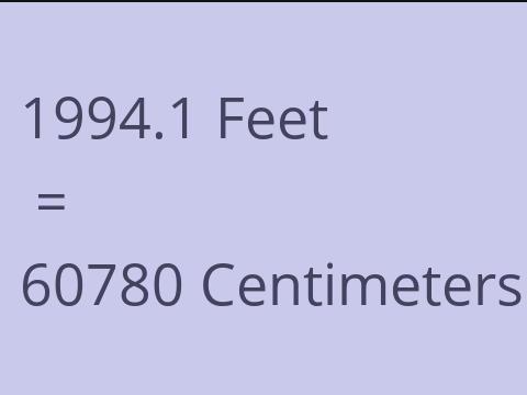 1994.1 FEET TO CM