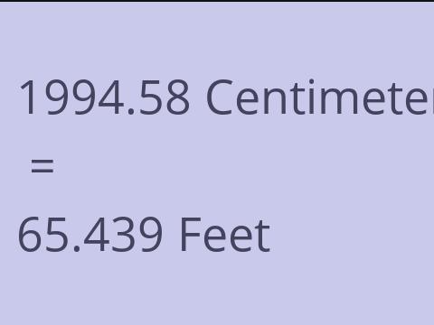 1994.58 CM TO FEET