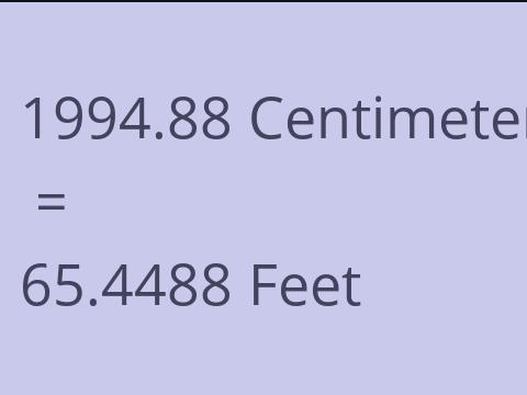 1994.88 CM TO FEET