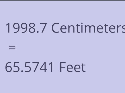 1998.7 CM TO FEET