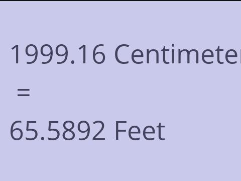 1999.16 CM TO FEET