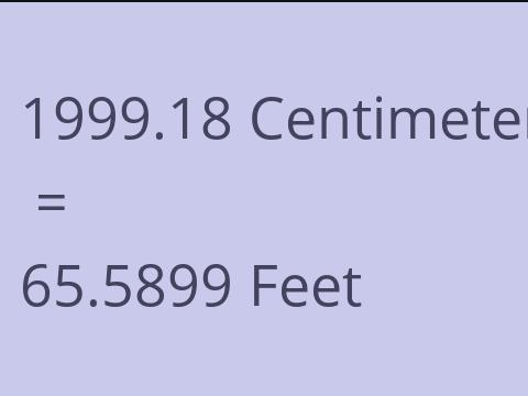 1999.18 CM TO FEET