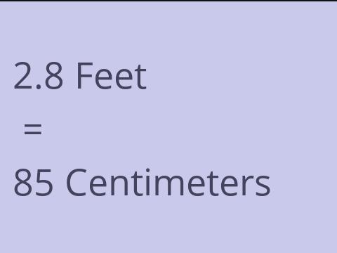 2.8 FEET TO CM