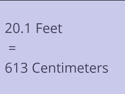 20.1 FEET TO CM