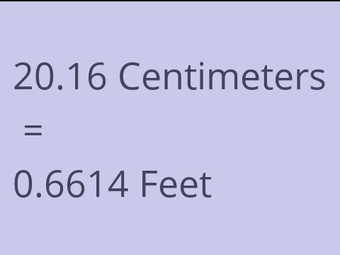 20.16 CM TO FEET