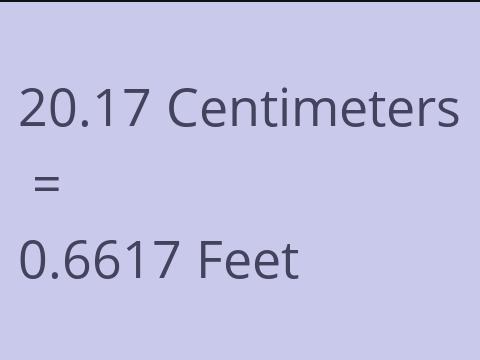 20.17 CM TO FEET