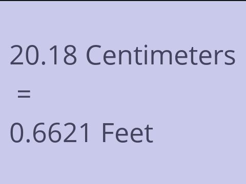 20.18 CM TO FEET