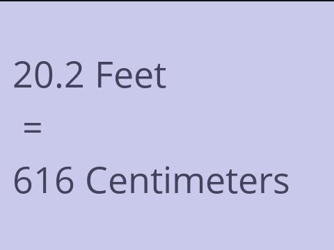 20.2 FEET TO CM