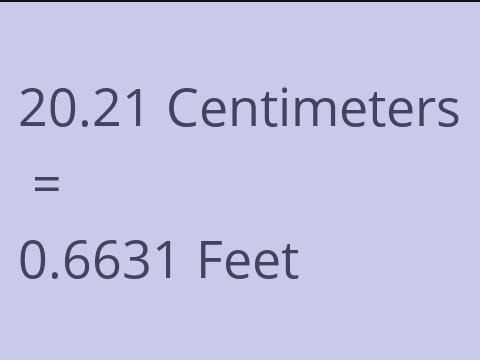 20.21 CM TO FEET