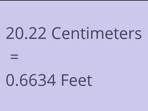 20.22 CM TO FEET