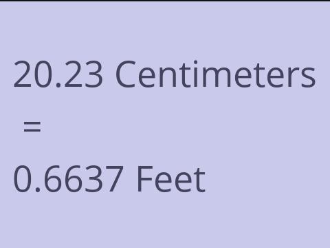 20.23 CM TO FEET