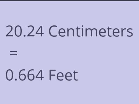 20.24 CM TO FEET