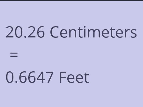 20.26 CM TO FEET