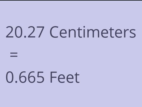 20.27 CM TO FEET