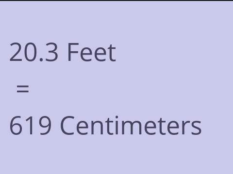 20.3 FEET TO CM