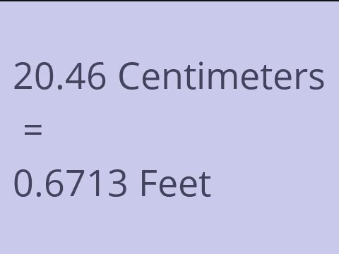 20.46 CM TO FEET