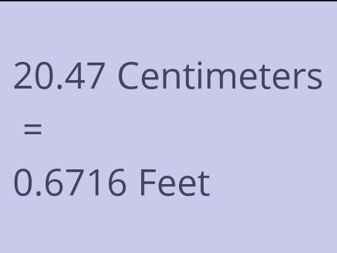 20.47 CM TO FEET