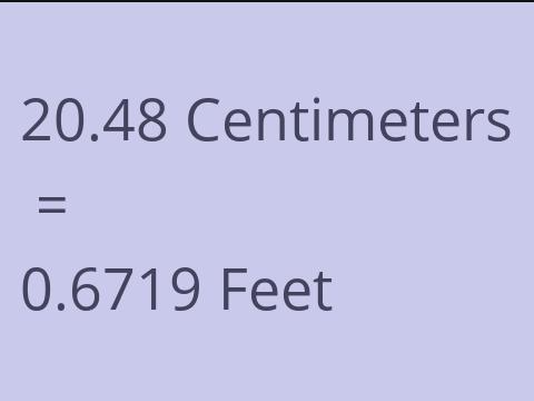 20.48 CM TO FEET