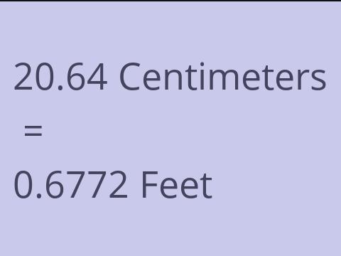 20.64 CM TO FEET