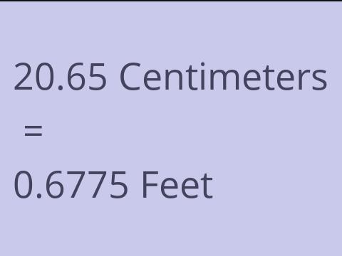 20.65 CM TO FEET