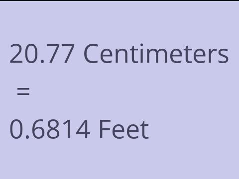 20.77 CM TO FEET