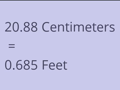 20.88 CM TO FEET