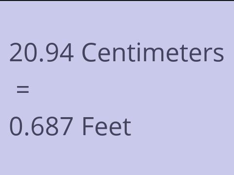 20.94 CM TO FEET