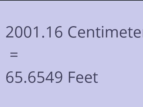 2001.16 CM TO FEET