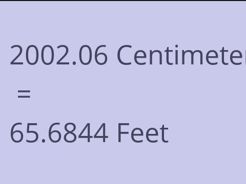 2002.06 CM TO FEET