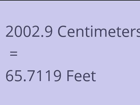 2002.9 CM TO FEET