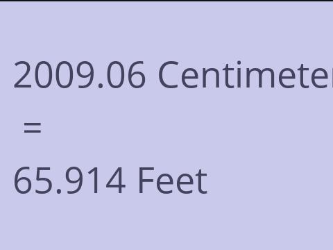 2009.06 CM TO FEET