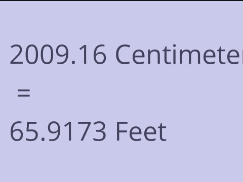 2009.16 CM TO FEET