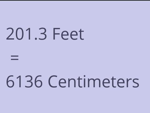 201.3 FEET TO CM