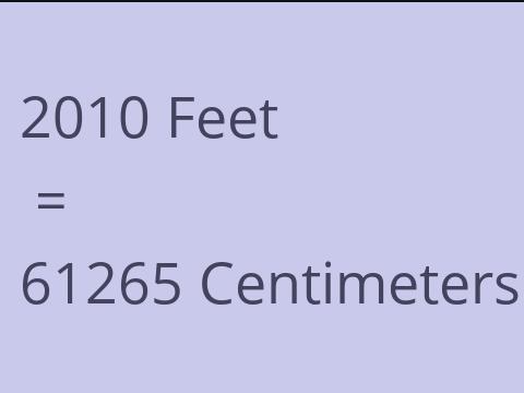 2010 FEET TO CM