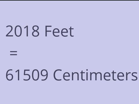 2018 FEET TO CM