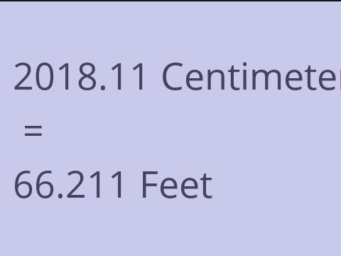 2018.11 CM TO FEET