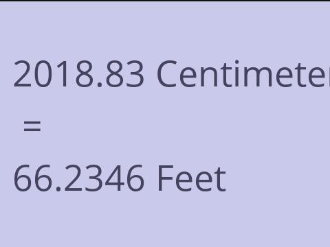 2018.83 CM TO FEET