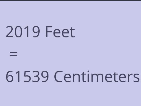 2019 FEET TO CM