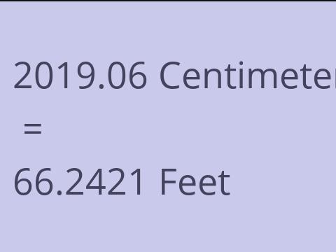 2019.06 CM TO FEET