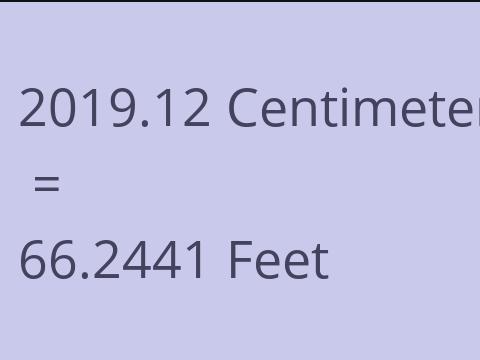 2019.12 CM TO FEET