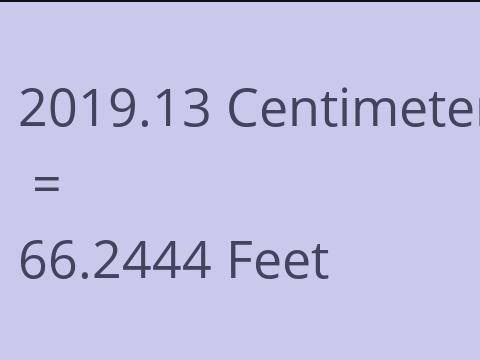 2019.13 CM TO FEET