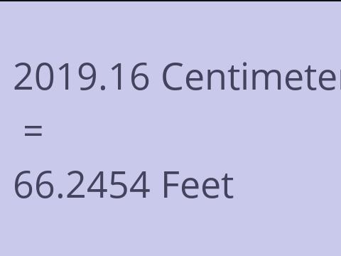 2019.16 CM TO FEET
