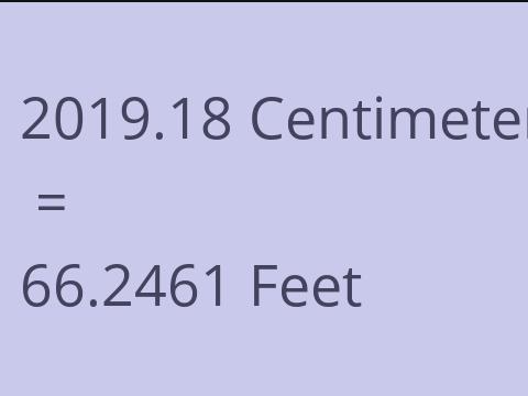 2019.18 CM TO FEET