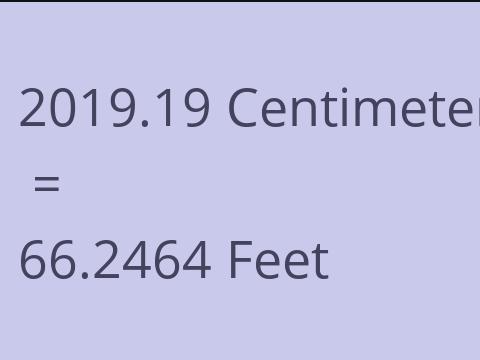 2019.19 CM TO FEET