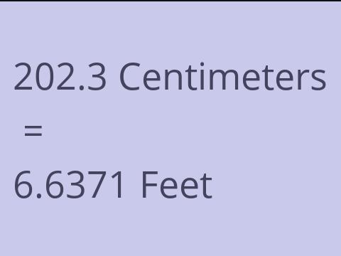 202.3 CM TO FEET